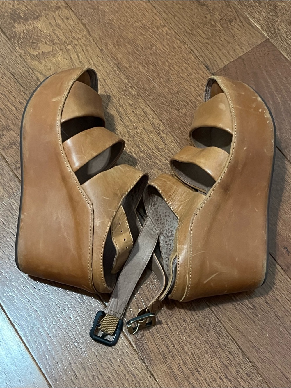 Chocolate Blu Wedges